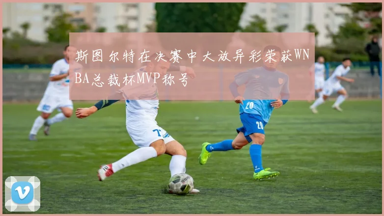 斯图尔特在决赛中大放异彩荣获WNBA总裁杯MVP称号