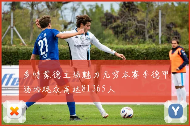 多特蒙德主场魅力无穷本赛季德甲场均观众高达81365人